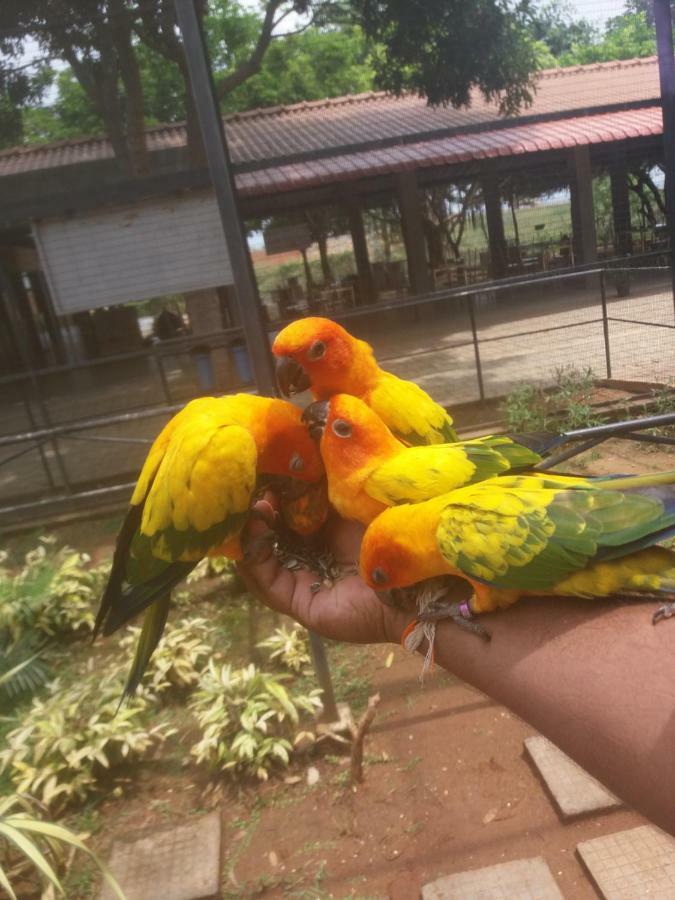 Amawin Resort Hambantota Luaran gambar